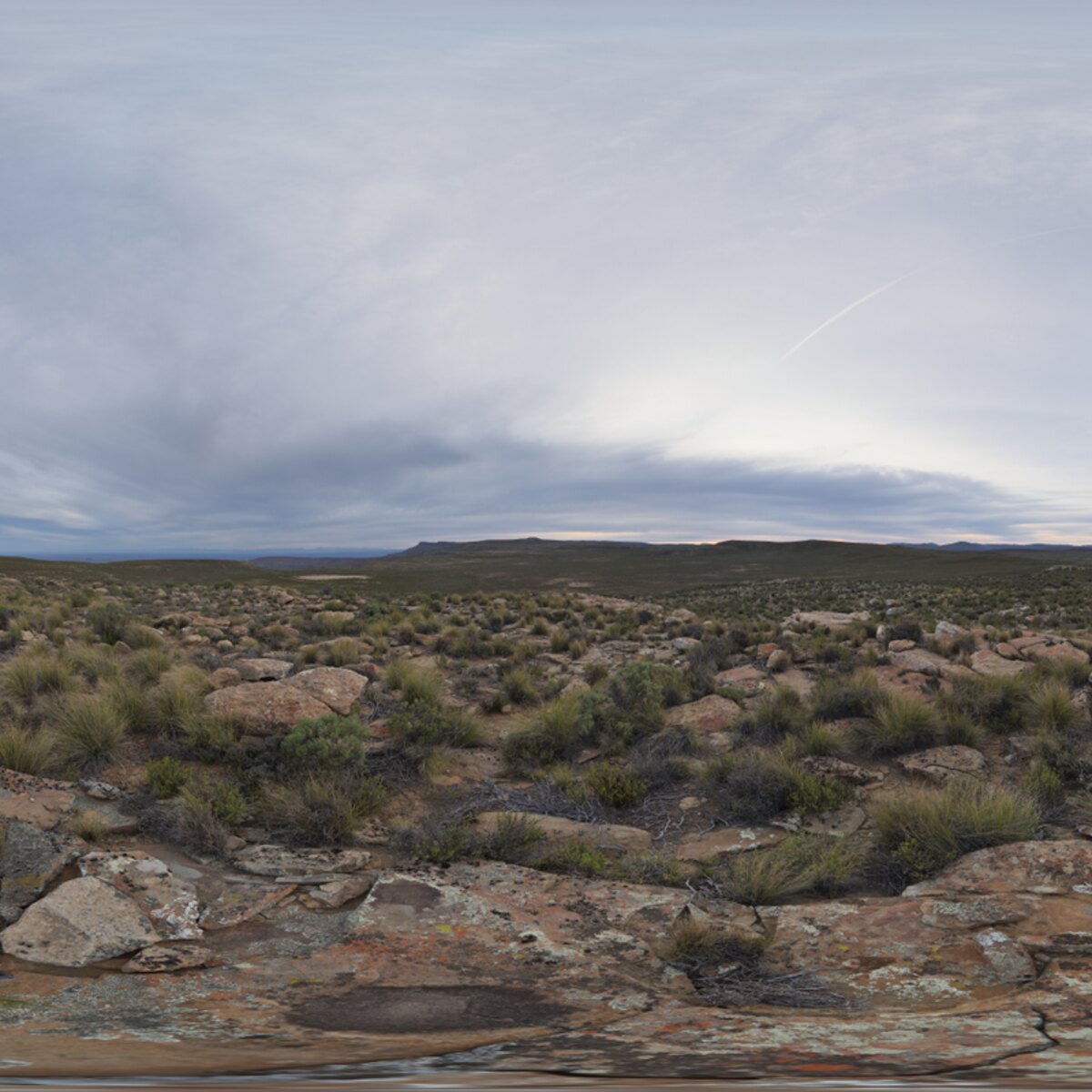 Aarfontein Dusk HDRI