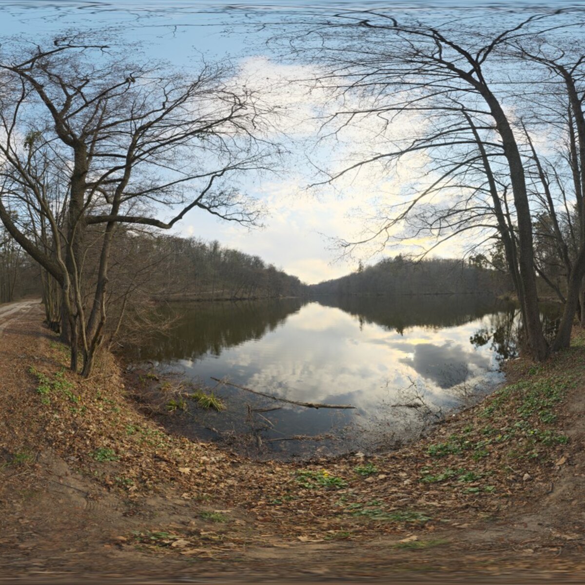 Arboretum HDRI