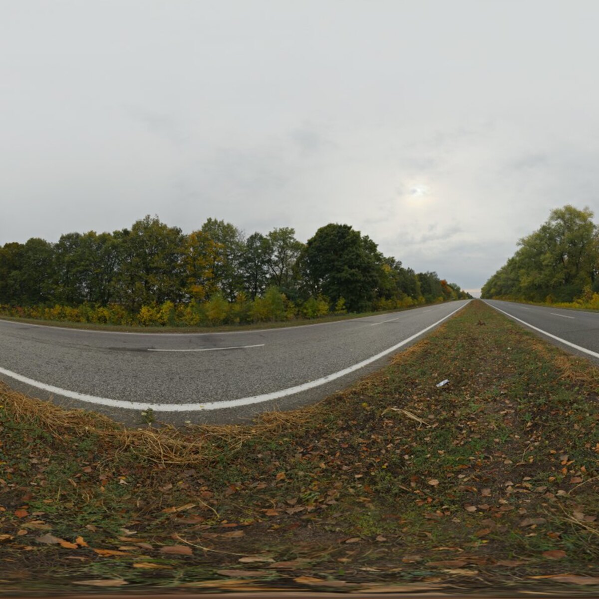 Autumn Road HDRI