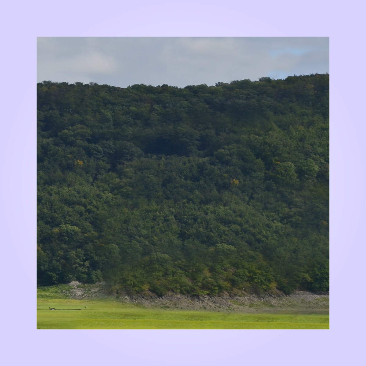 Backdrop 006 Material