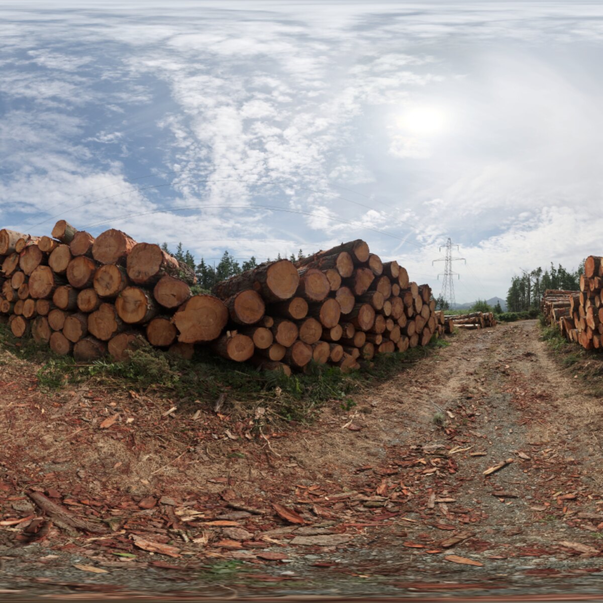 Barnaslingan 01 HDRI