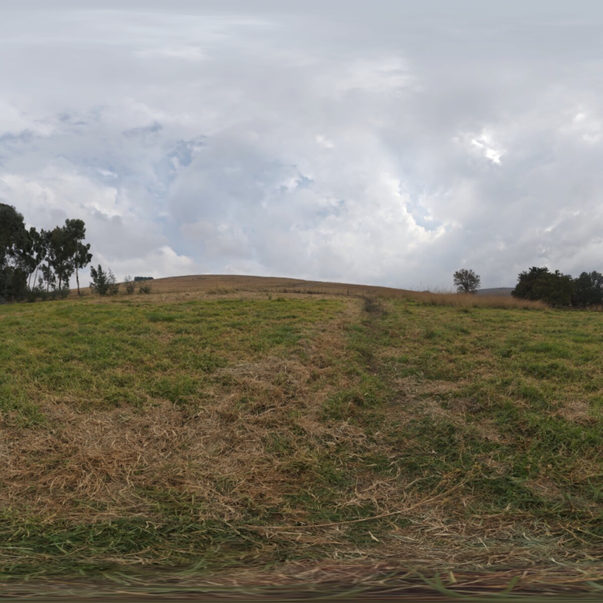 Belfast Open Field HDRI