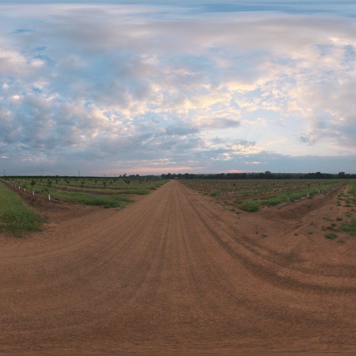 Citrus Orchard Road HDRI