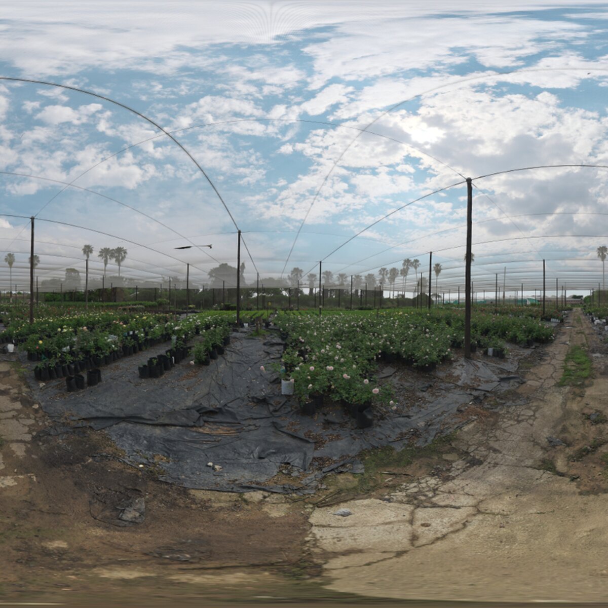 Cloudy Netted Nursery HDRI