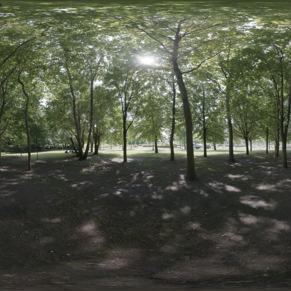 Day Environment HDRI 003