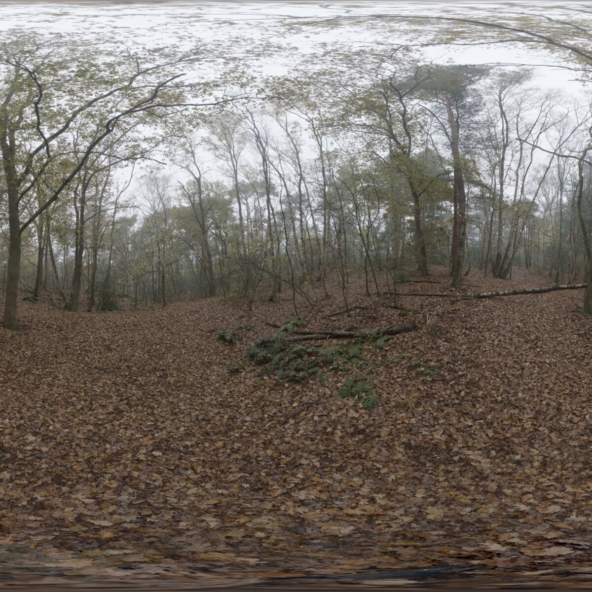 Day Environment HDRI 005
