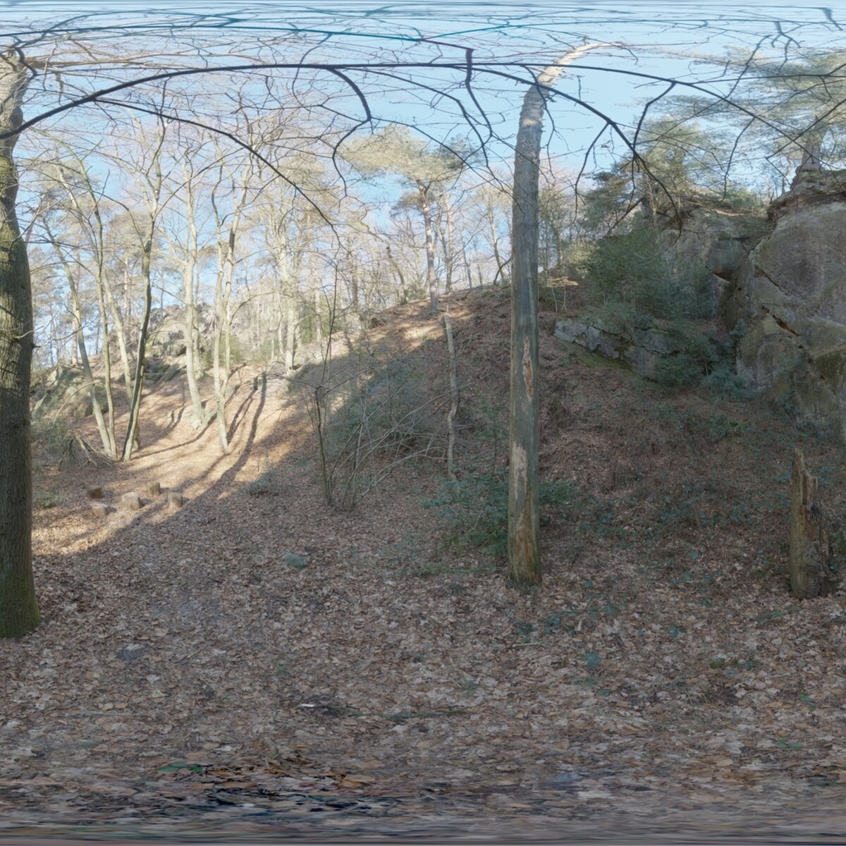 Day Environment HDRI 006