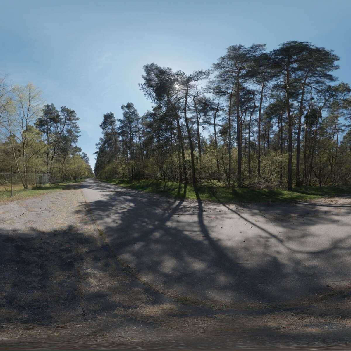 Day Environment HDRI 011