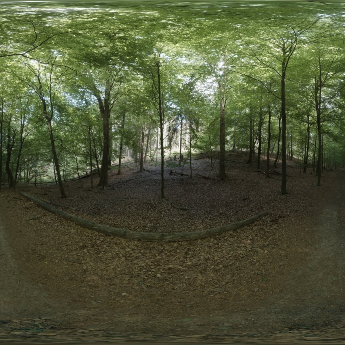 Day Environment HDRI 013