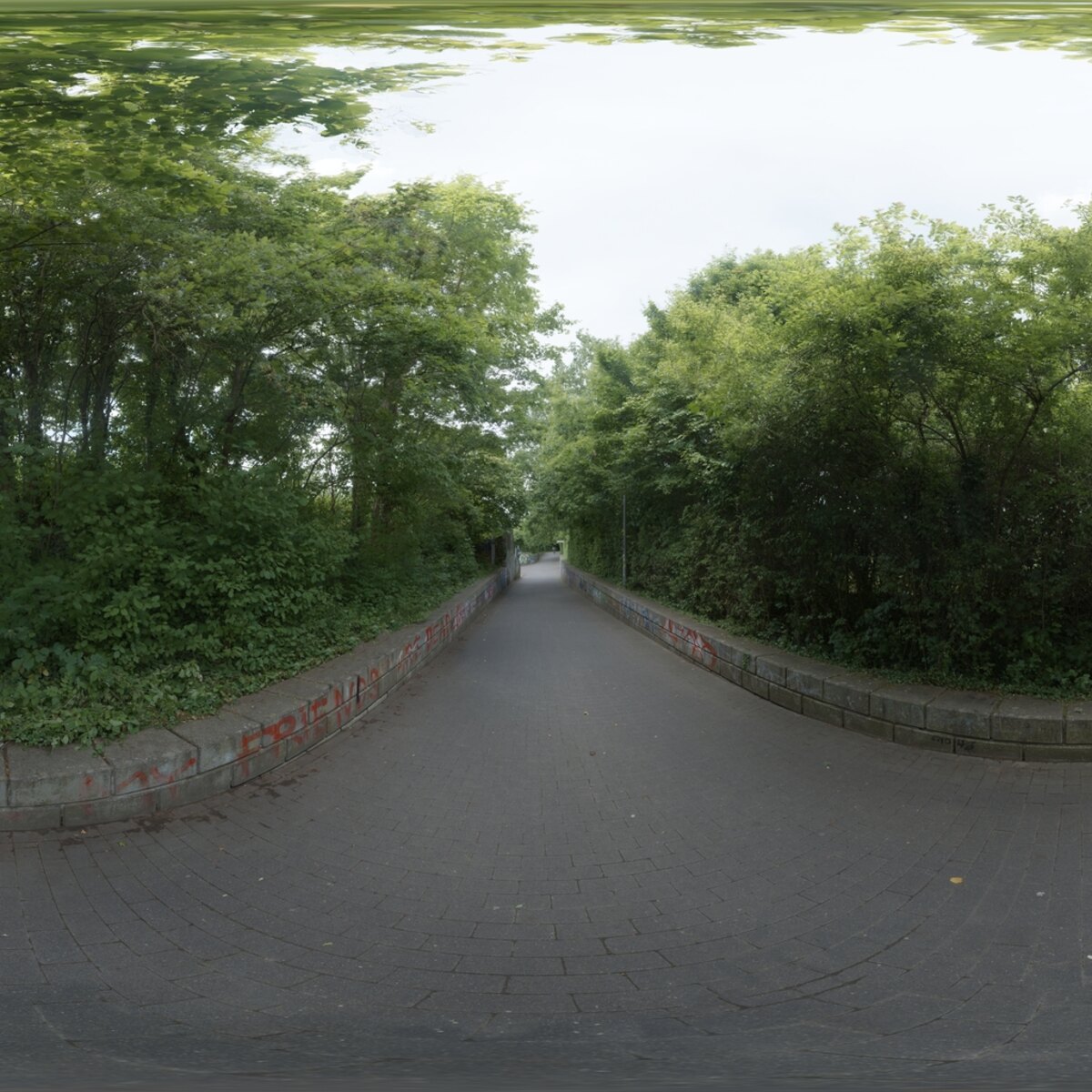 Day Environment HDRI 019