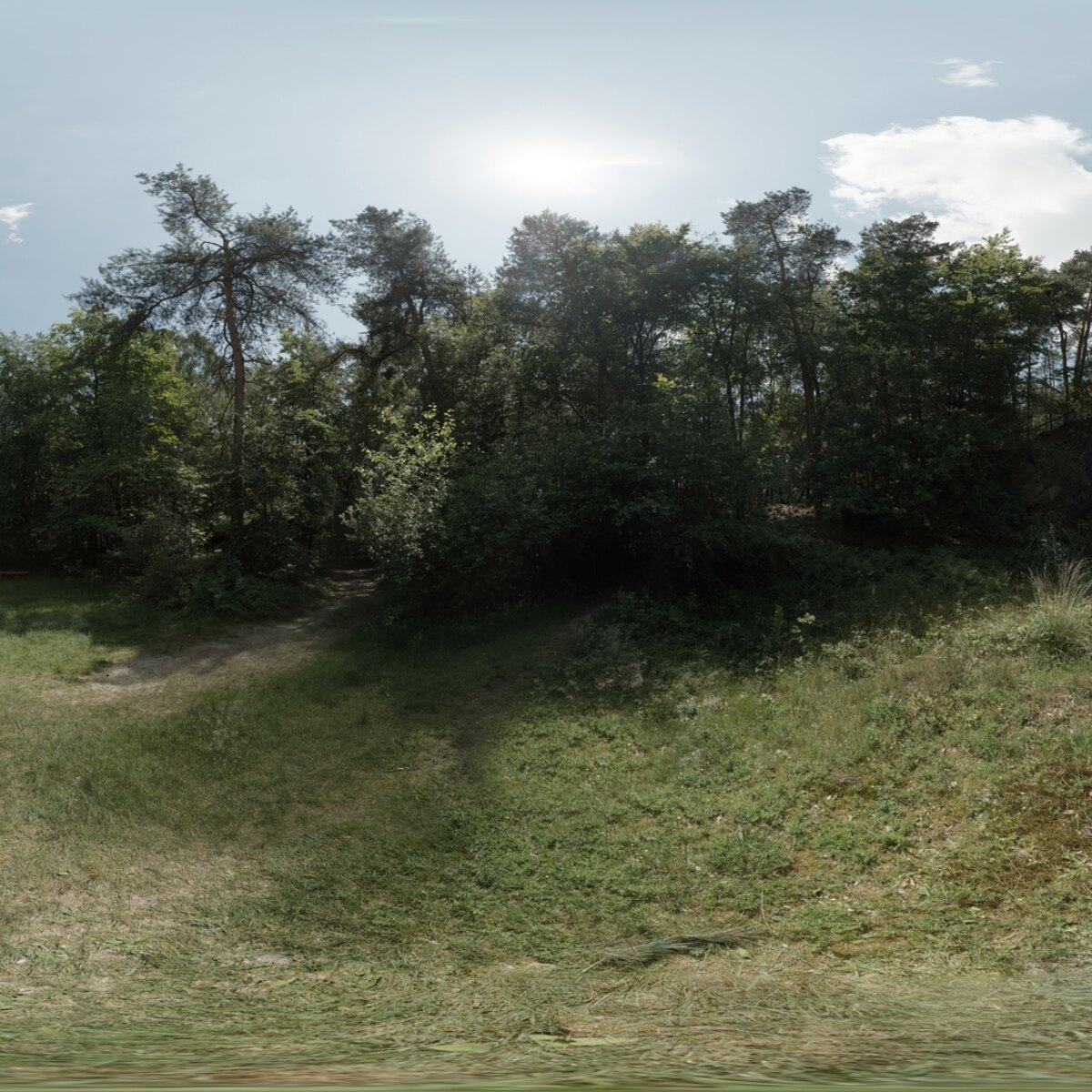 Day Environment HDRI 021