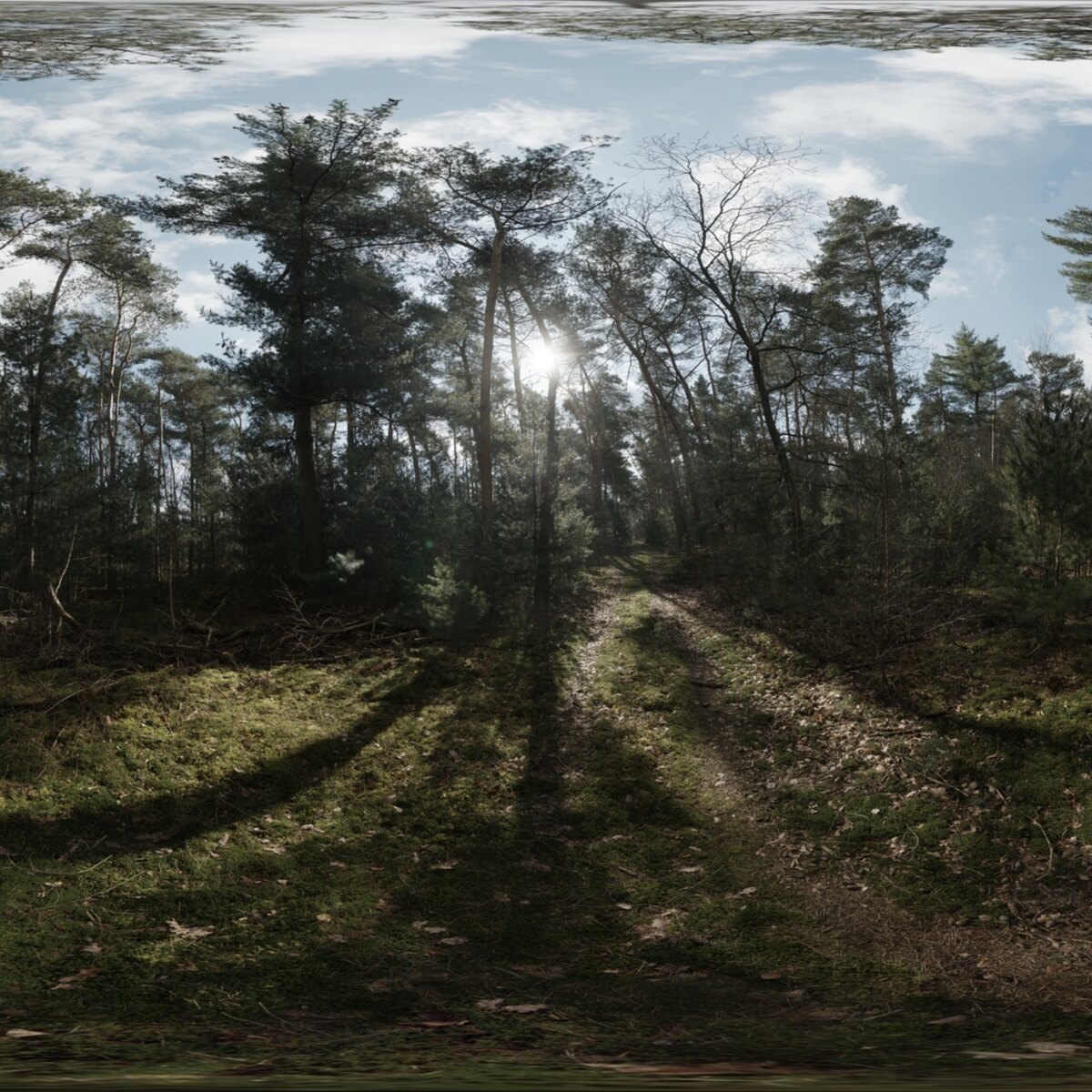 Day Environment HDRI 024