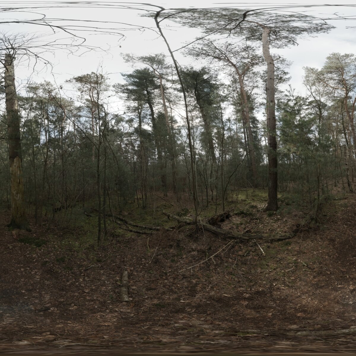 Day Environment HDRI 026
