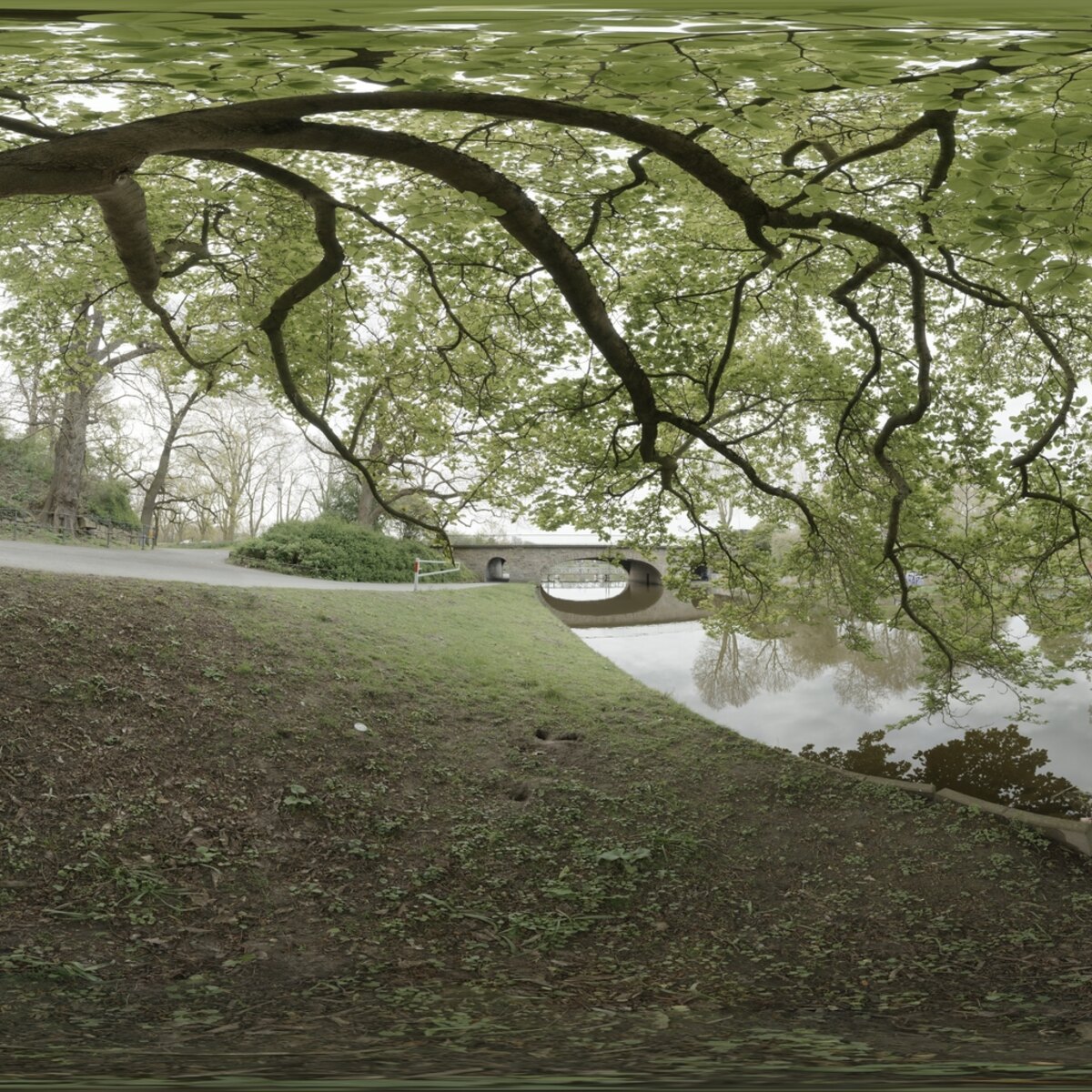 Day Environment HDRI 028