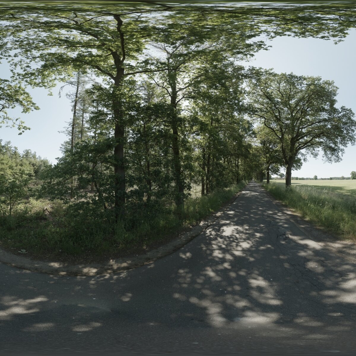 Day Environment HDRI 030