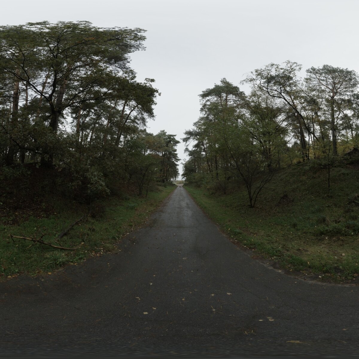 Day Environment HDRI 040