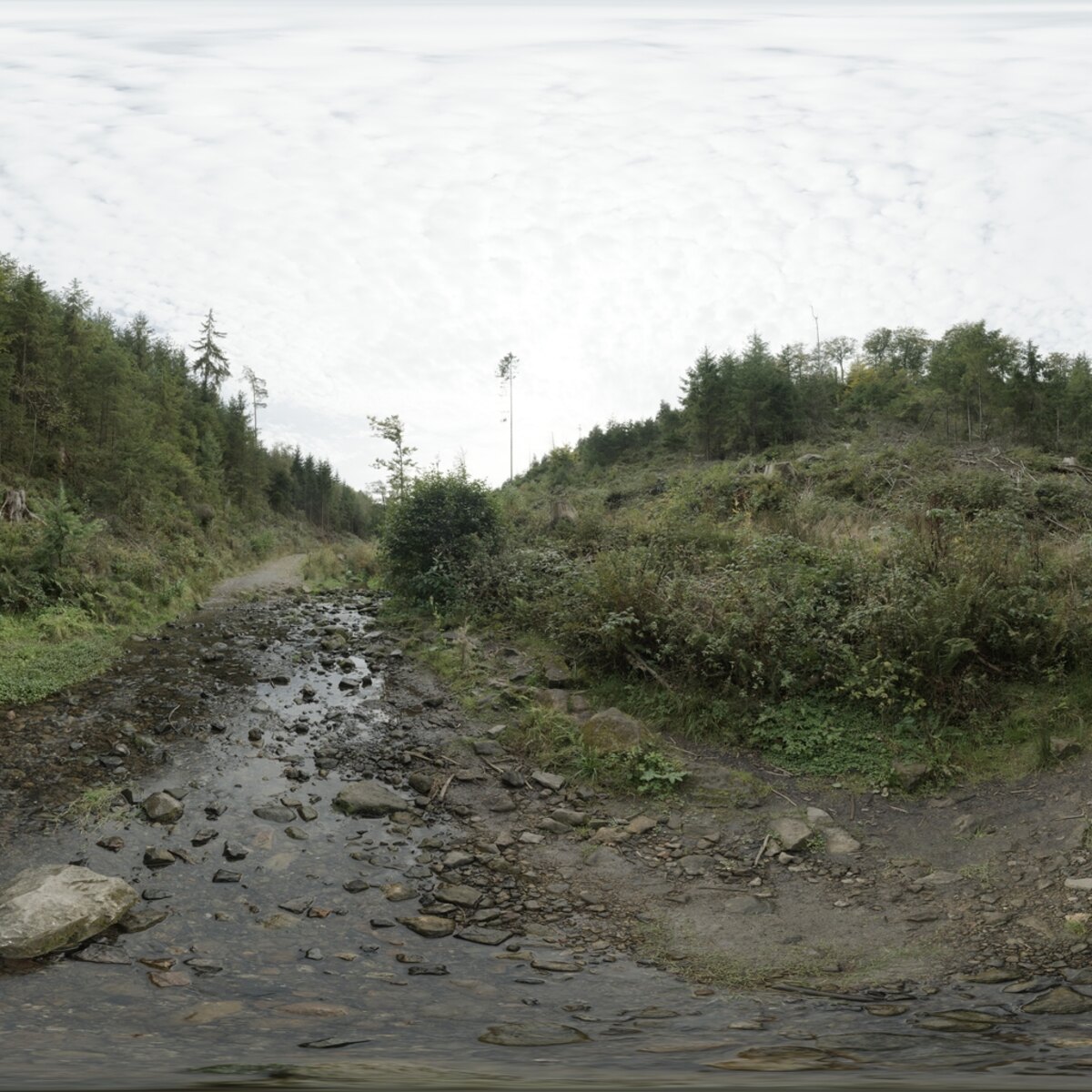 Day Environment HDRI 041