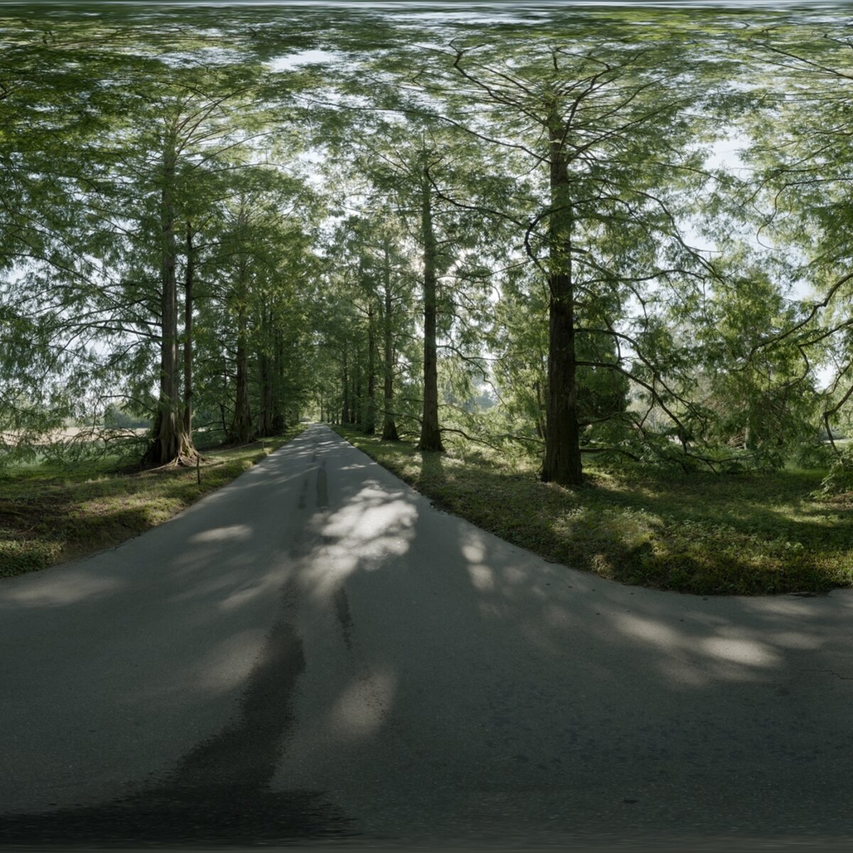 Day Environment HDRI 061
