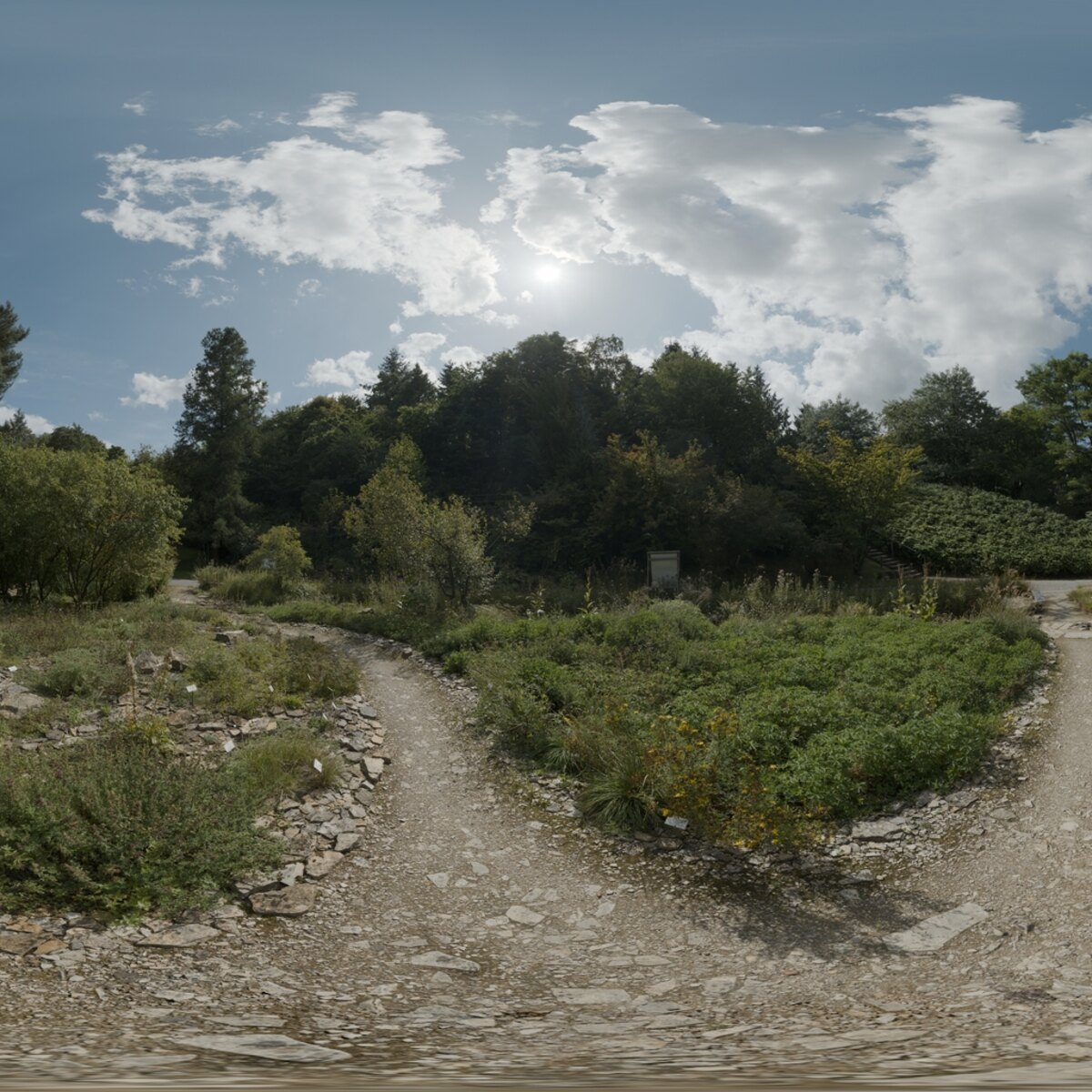 Day Environment HDRI 066