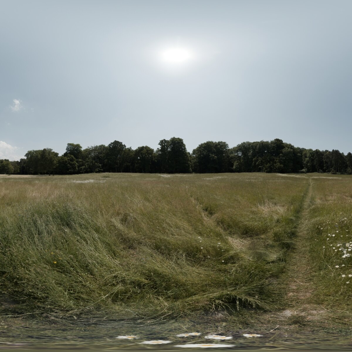 Day Environment HDRI 105