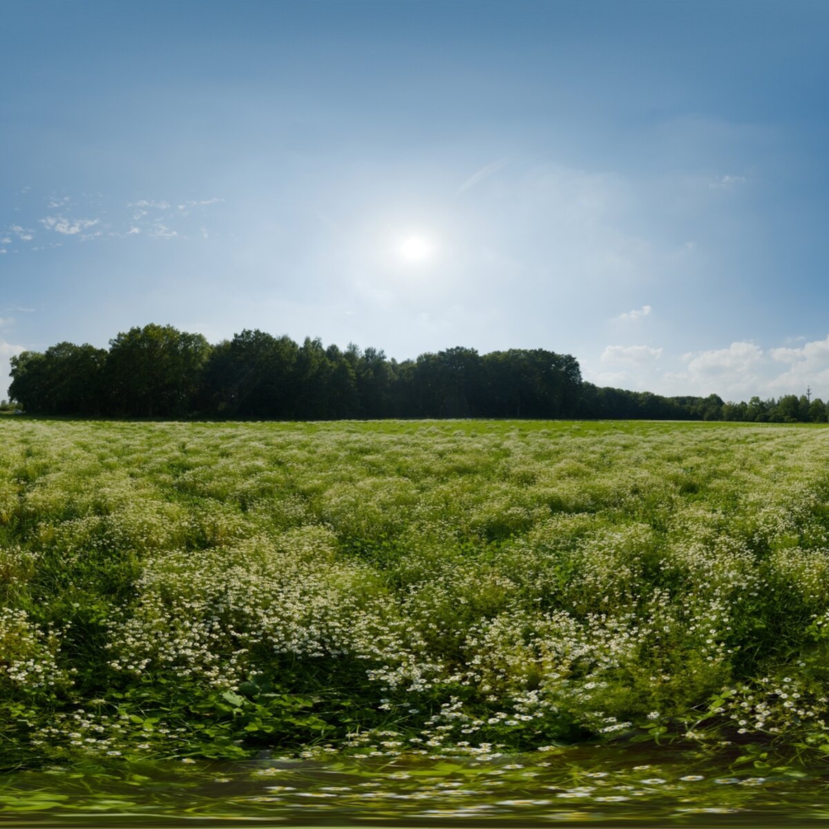 Day Environment HDRI 112