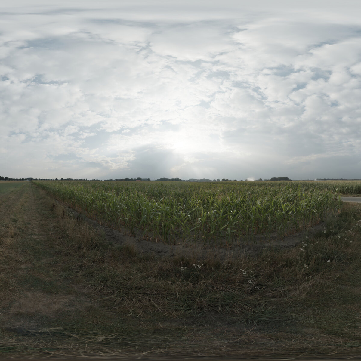 Day Sky HDRI 036 A
