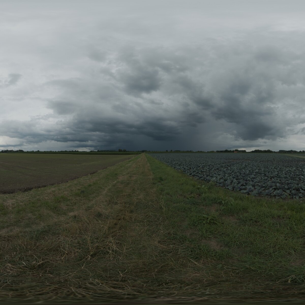 Day Sky HDRI 061 A