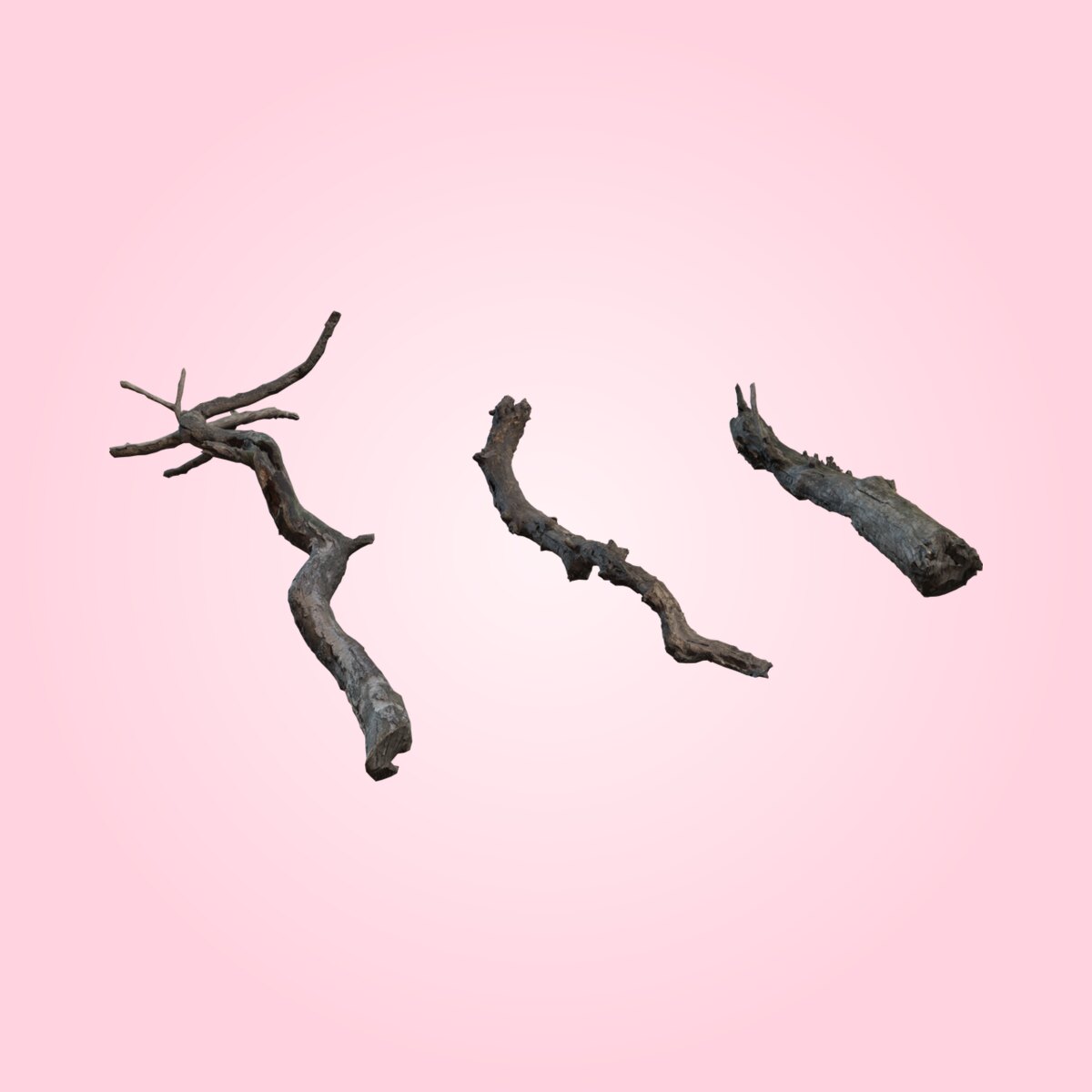 Dry Branches Medium 01