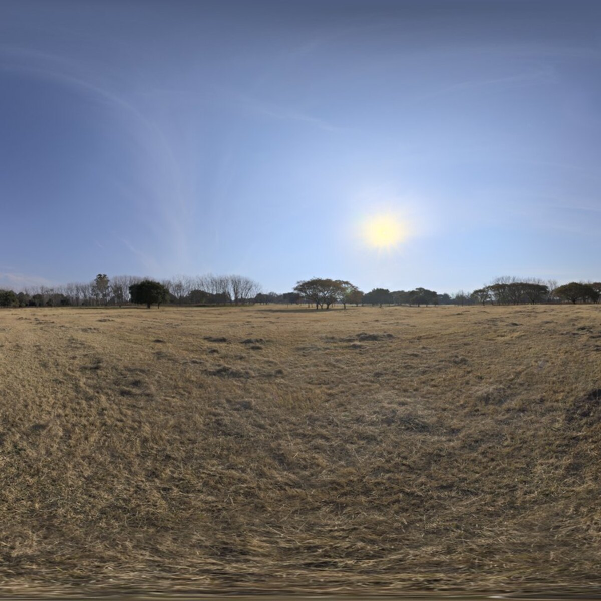 Dry Field HDRI