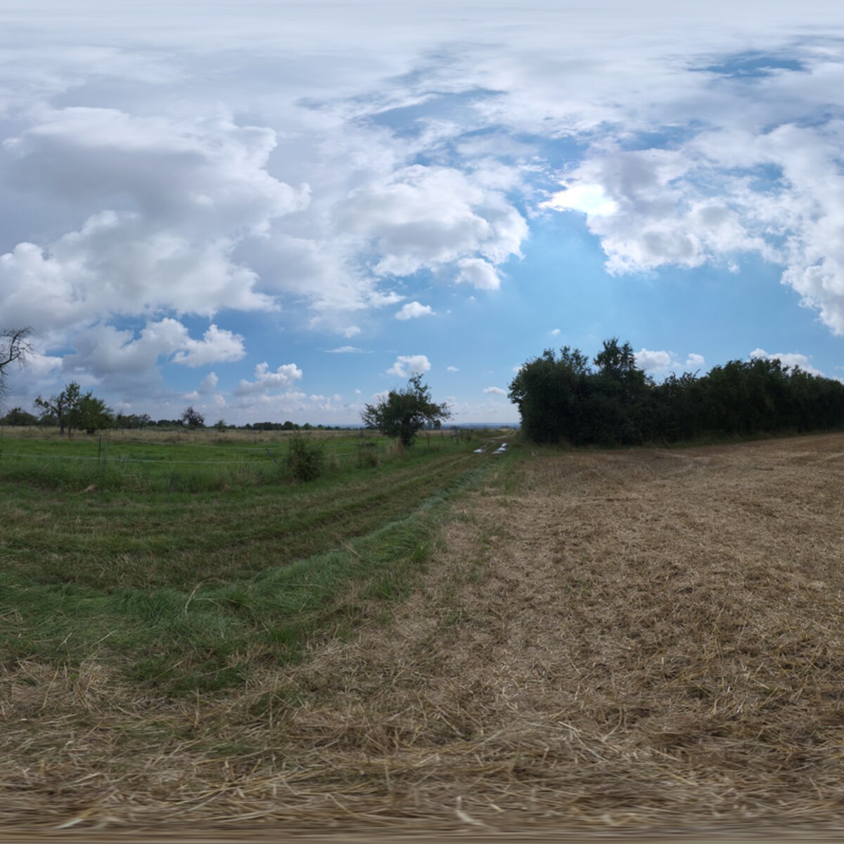 Dry Hay Field HDRI
