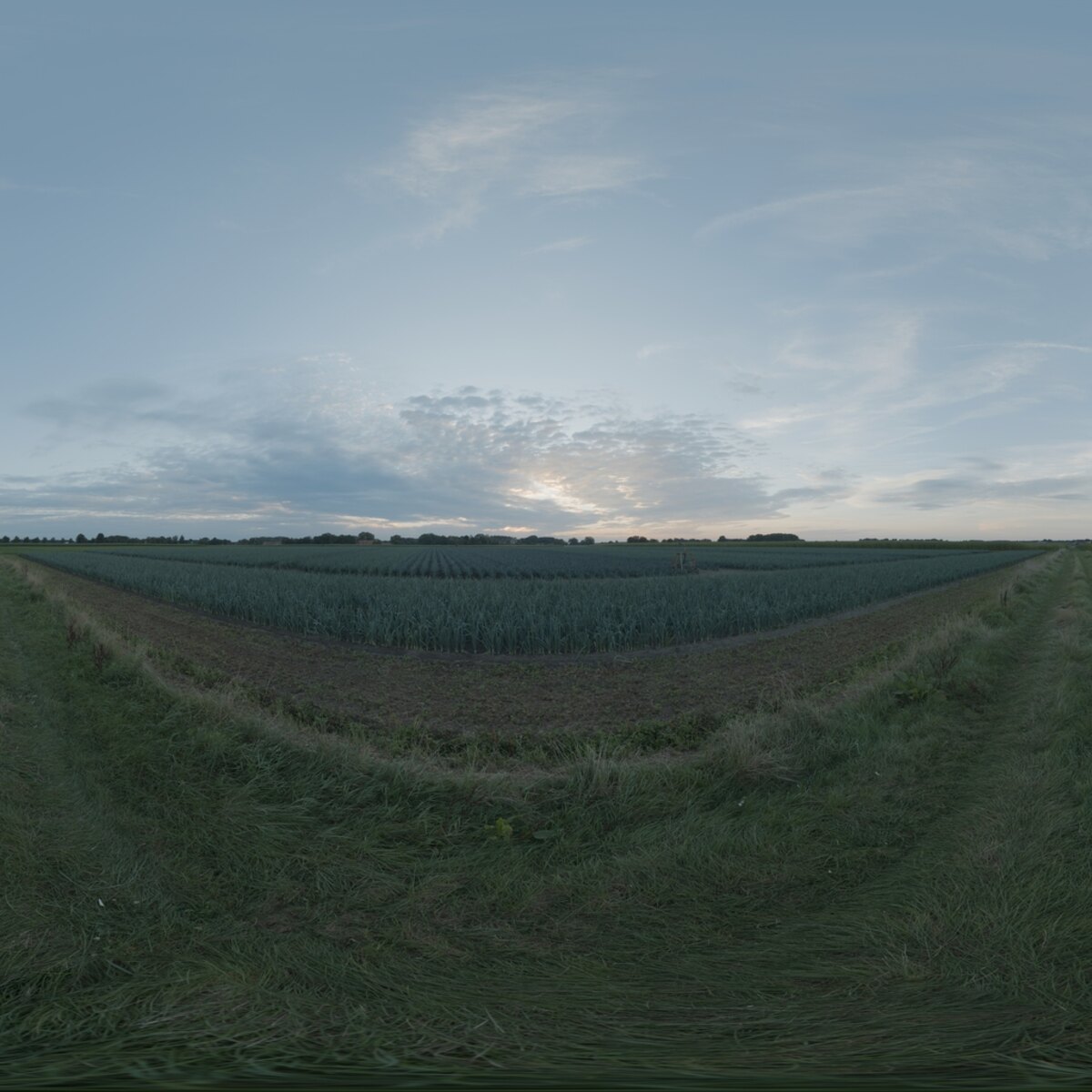 Evening Sky HDRI 038 A