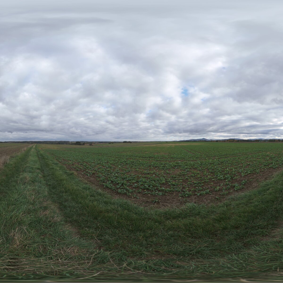 Farmland Overcast HDRI