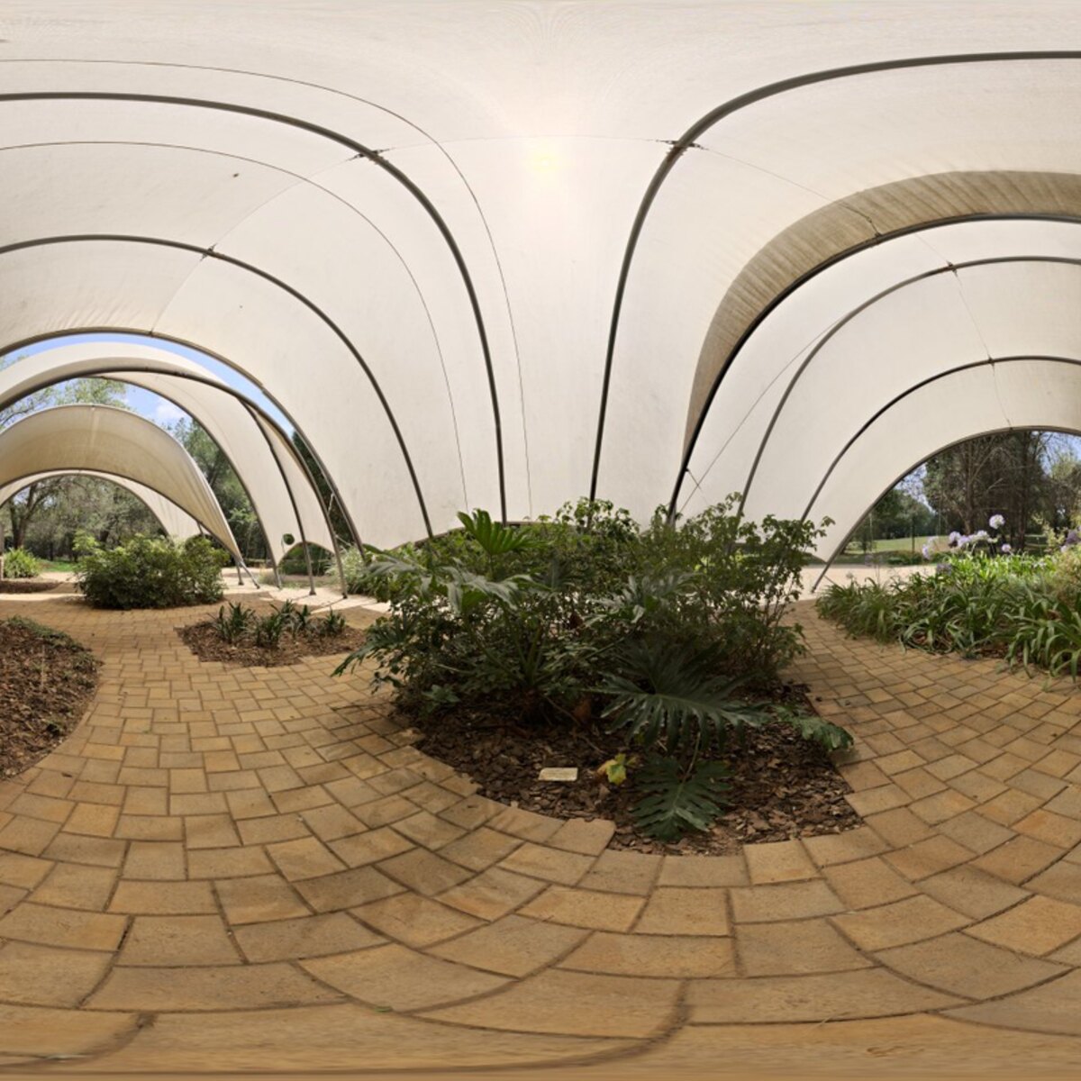 Floral Tent HDRI