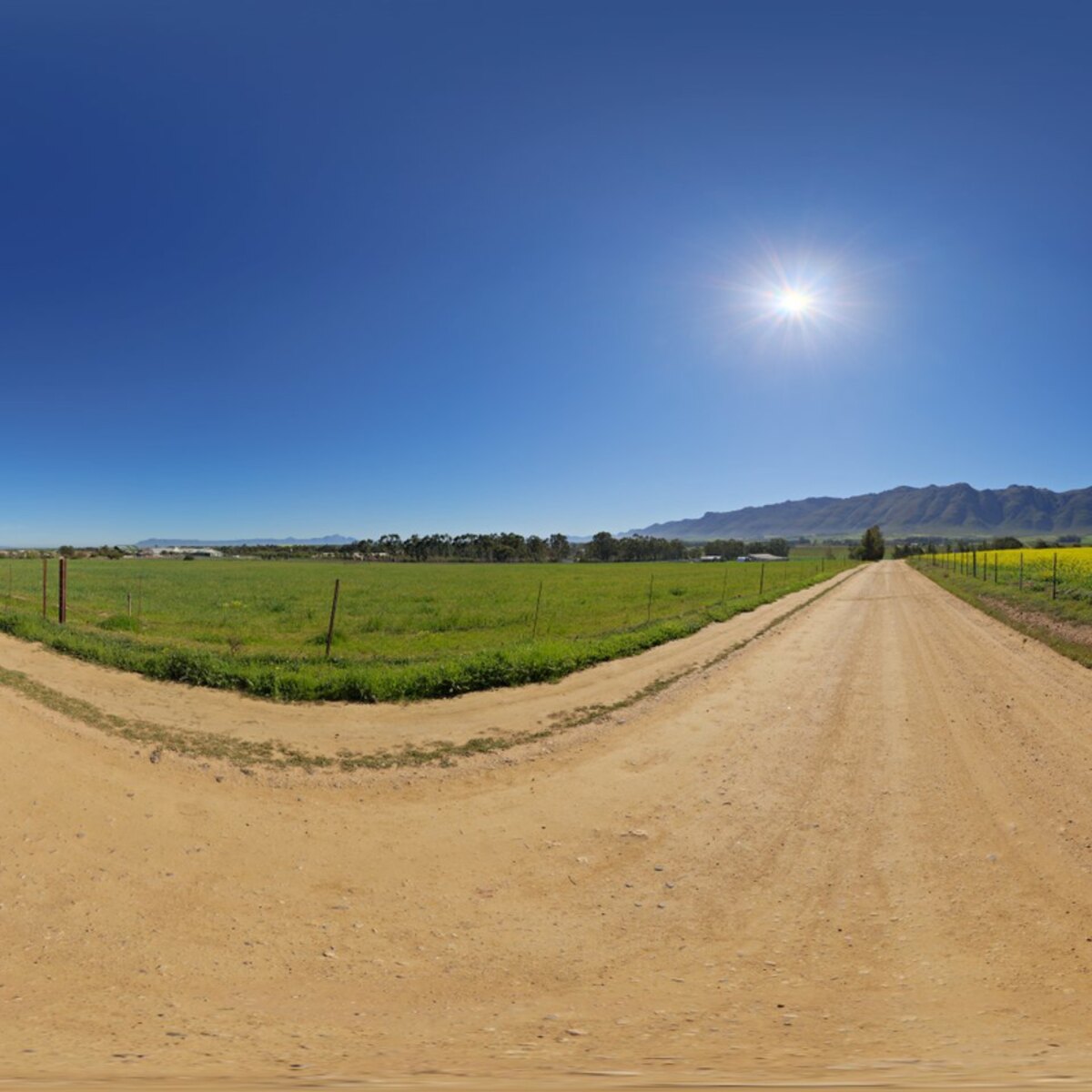 Flower Road HDRI