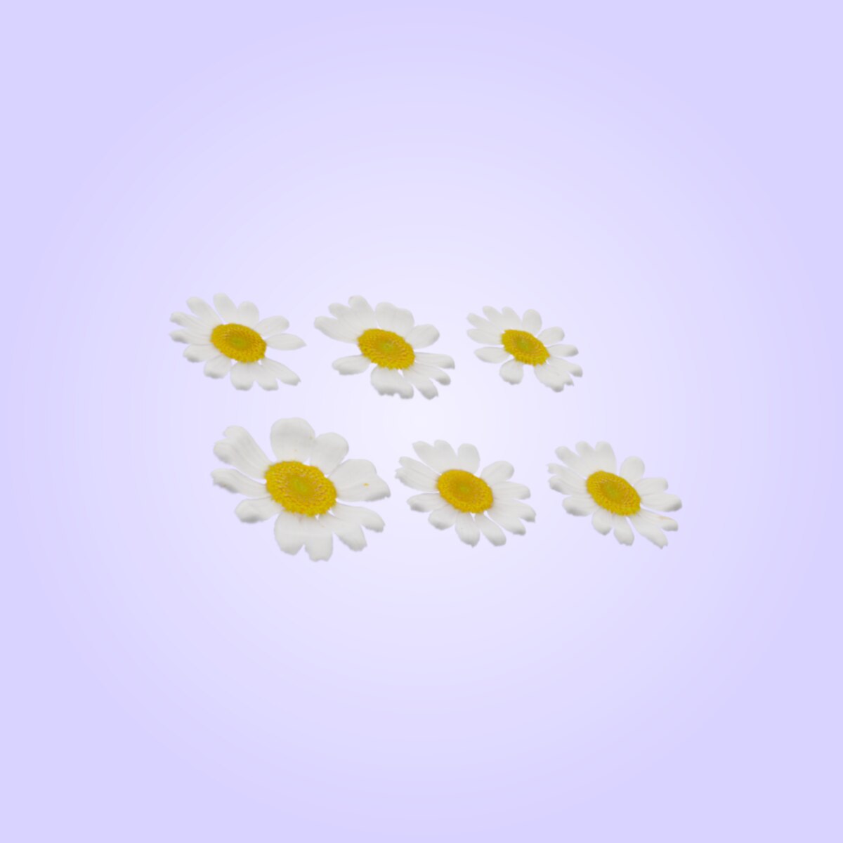 Flower Set 001 Material