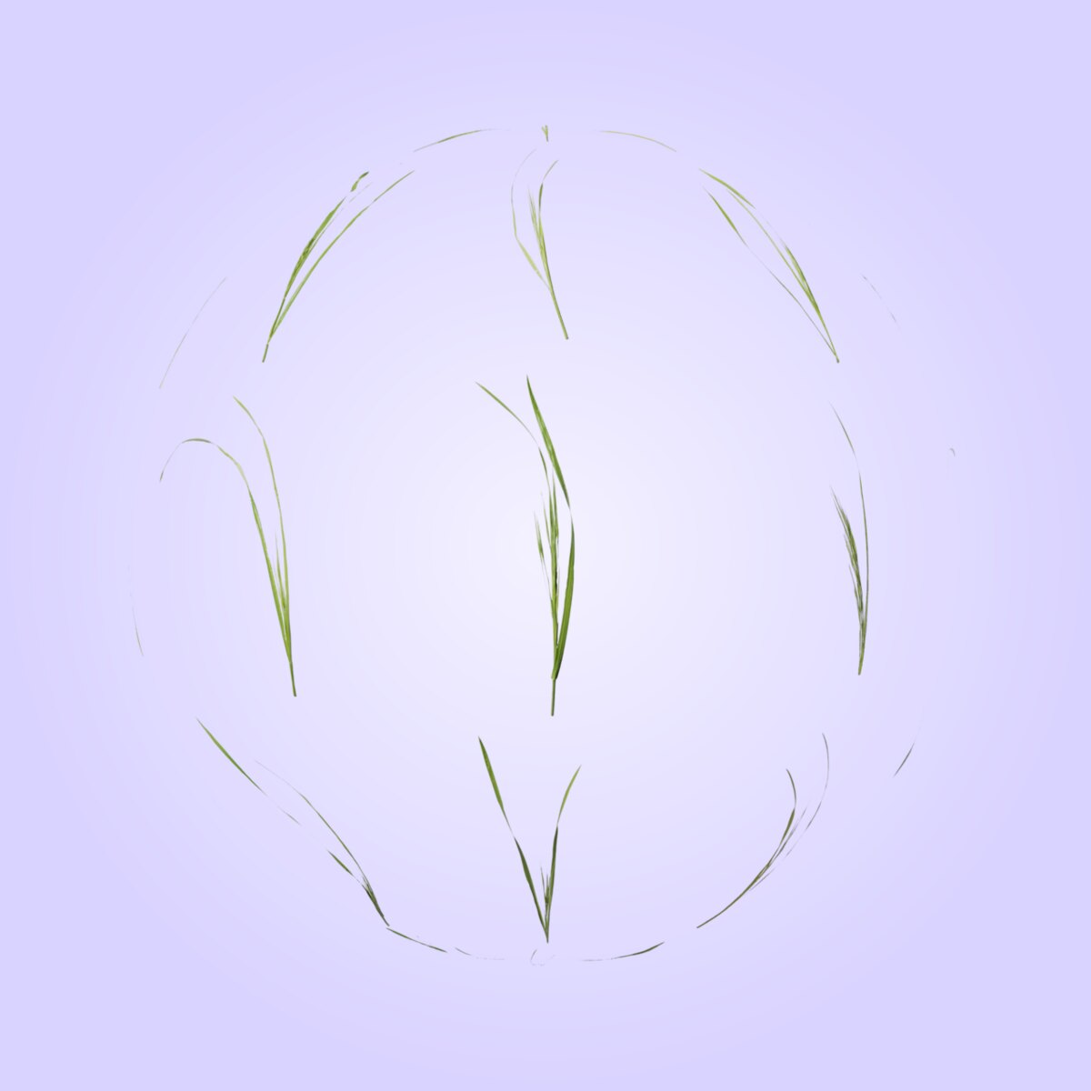 Foliage 007 Material