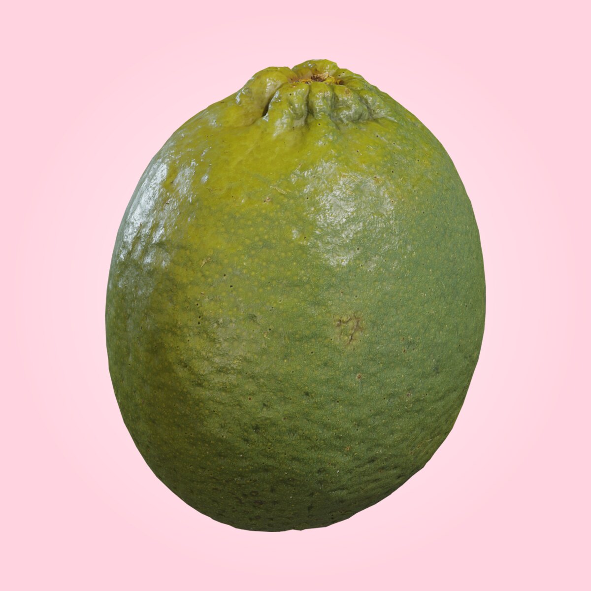 Food Lime 01