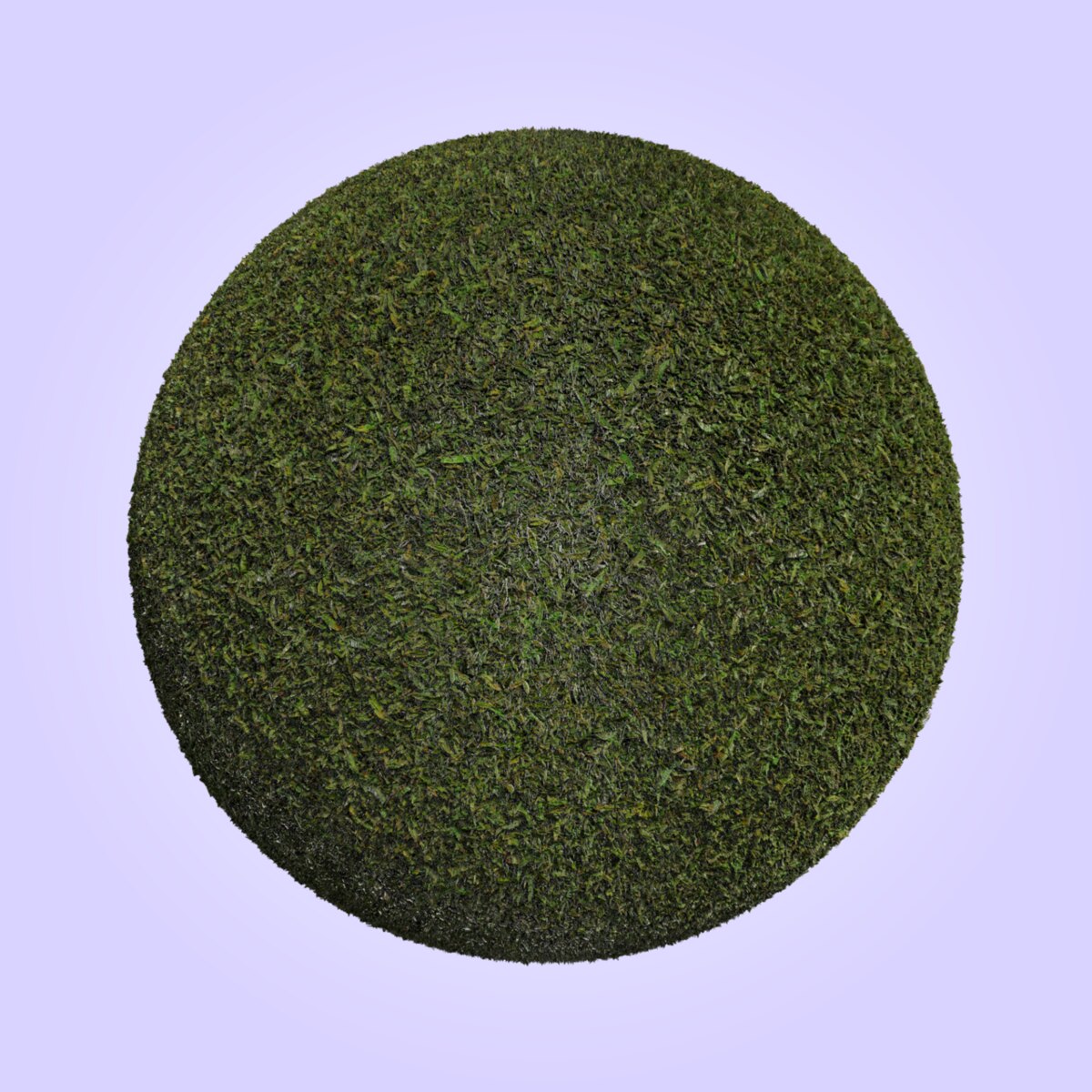 Grass 003 Material
