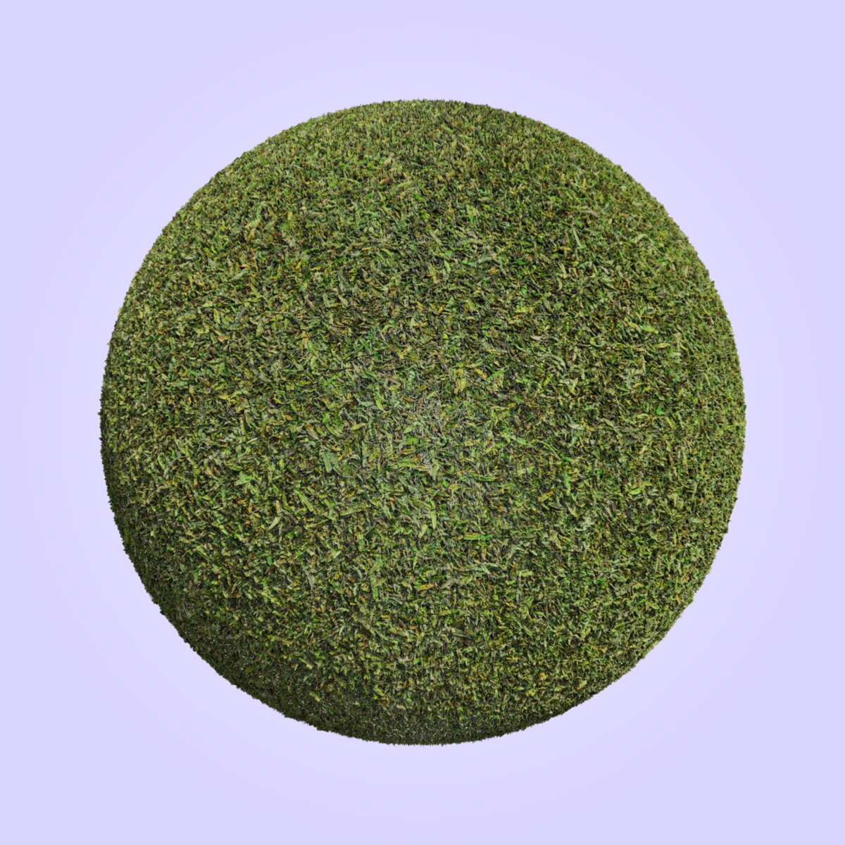 Grass 004 Material