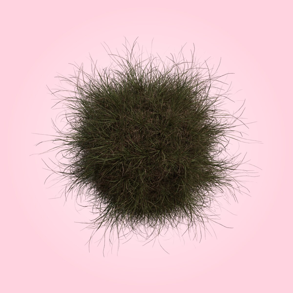 Grass Medium 02