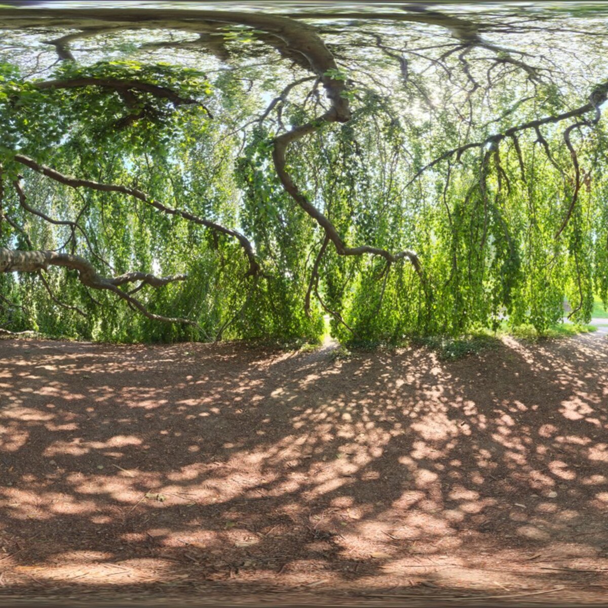 Green Sanctuary HDRI