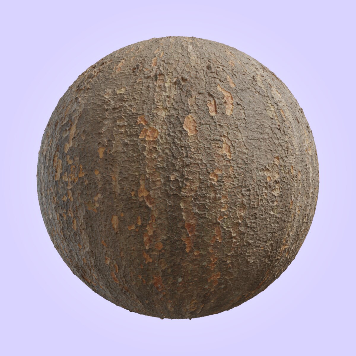 Japanese Zelkova Bark Material