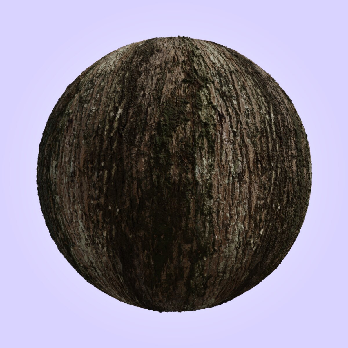 Jolcham Oak Bark 01 Material