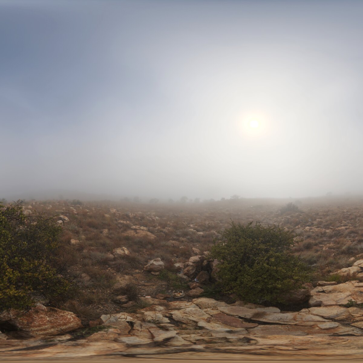 Kloofendal 28d Misty HDRI