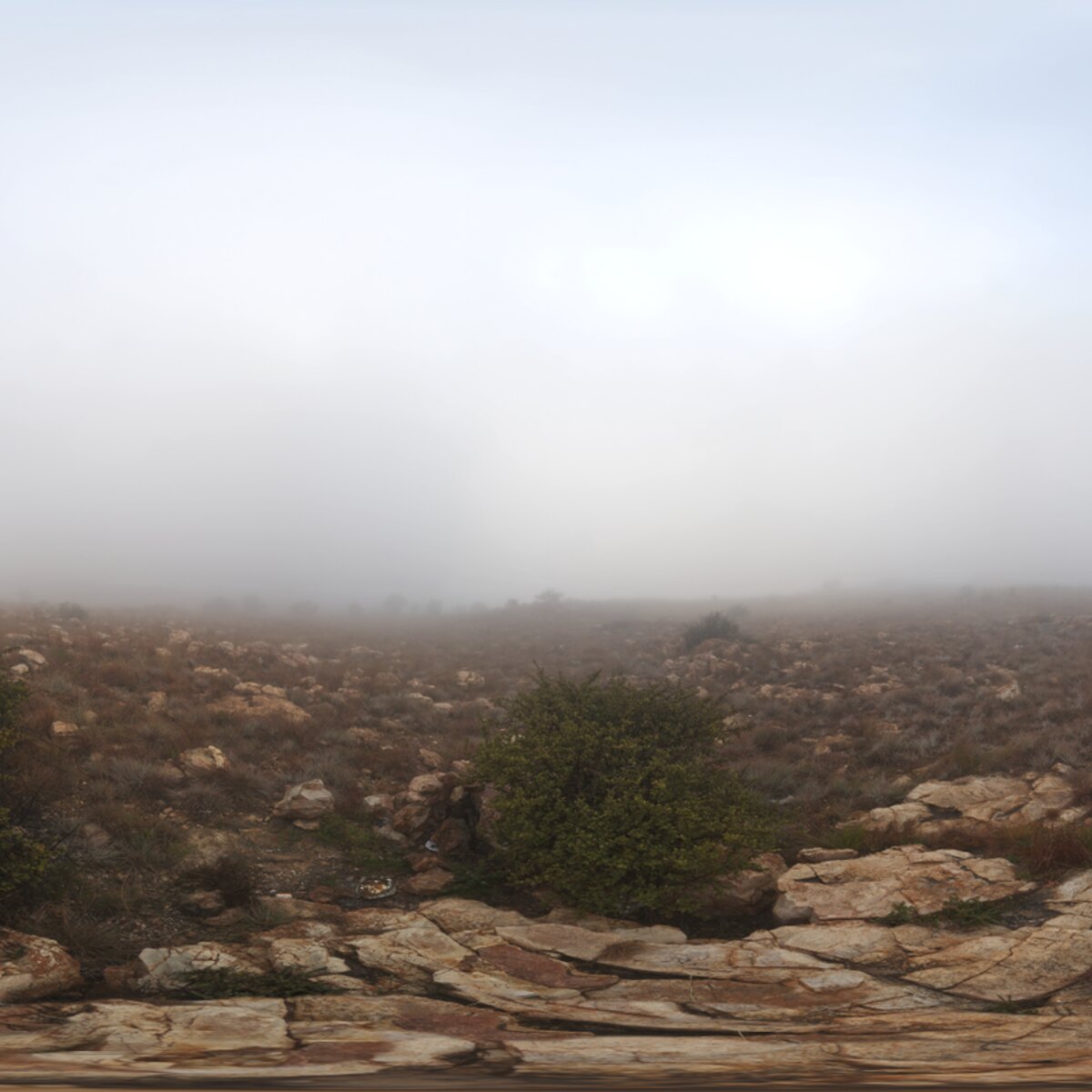 Kloofendal Misty Morning HDRI