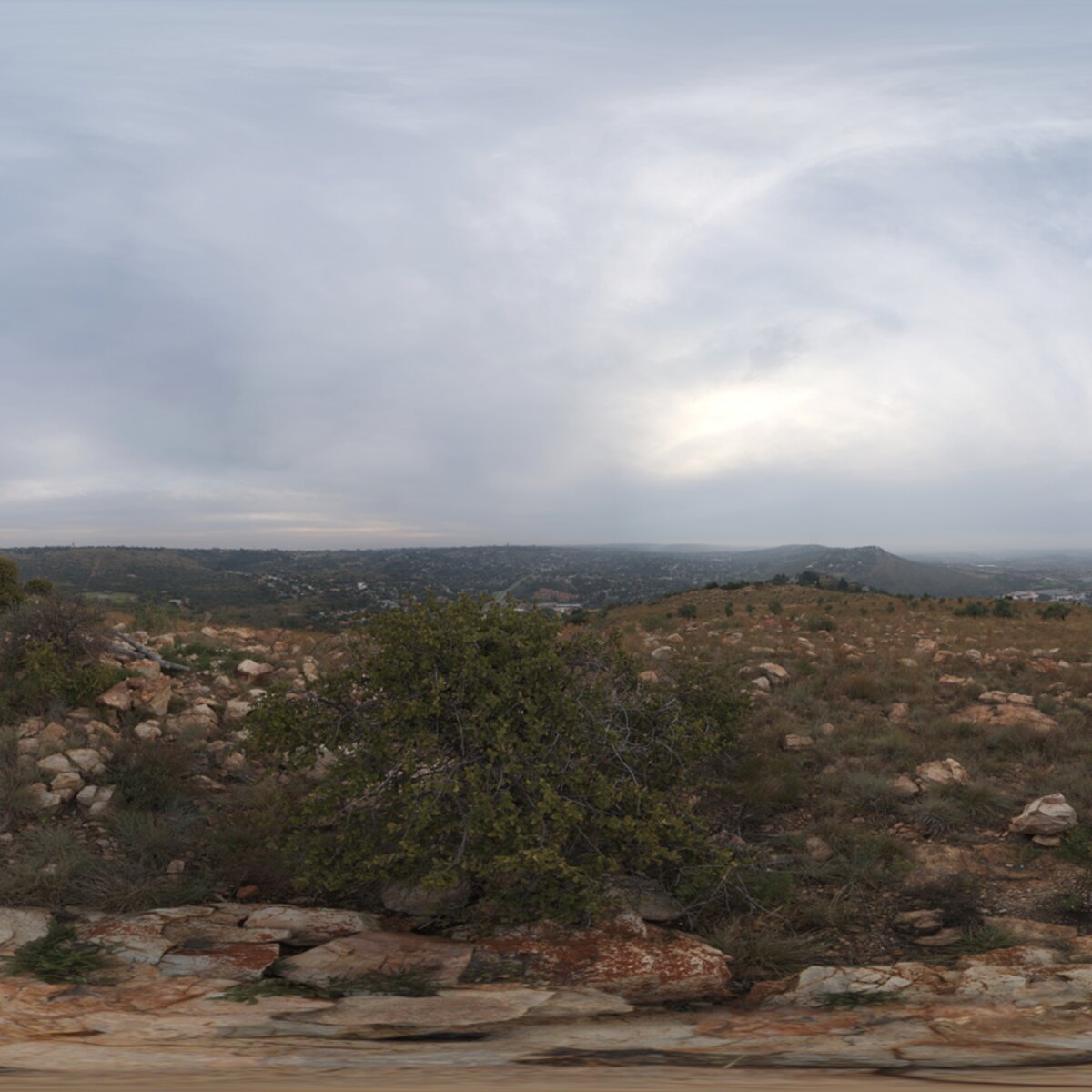 Kloofendal Overcast HDRI