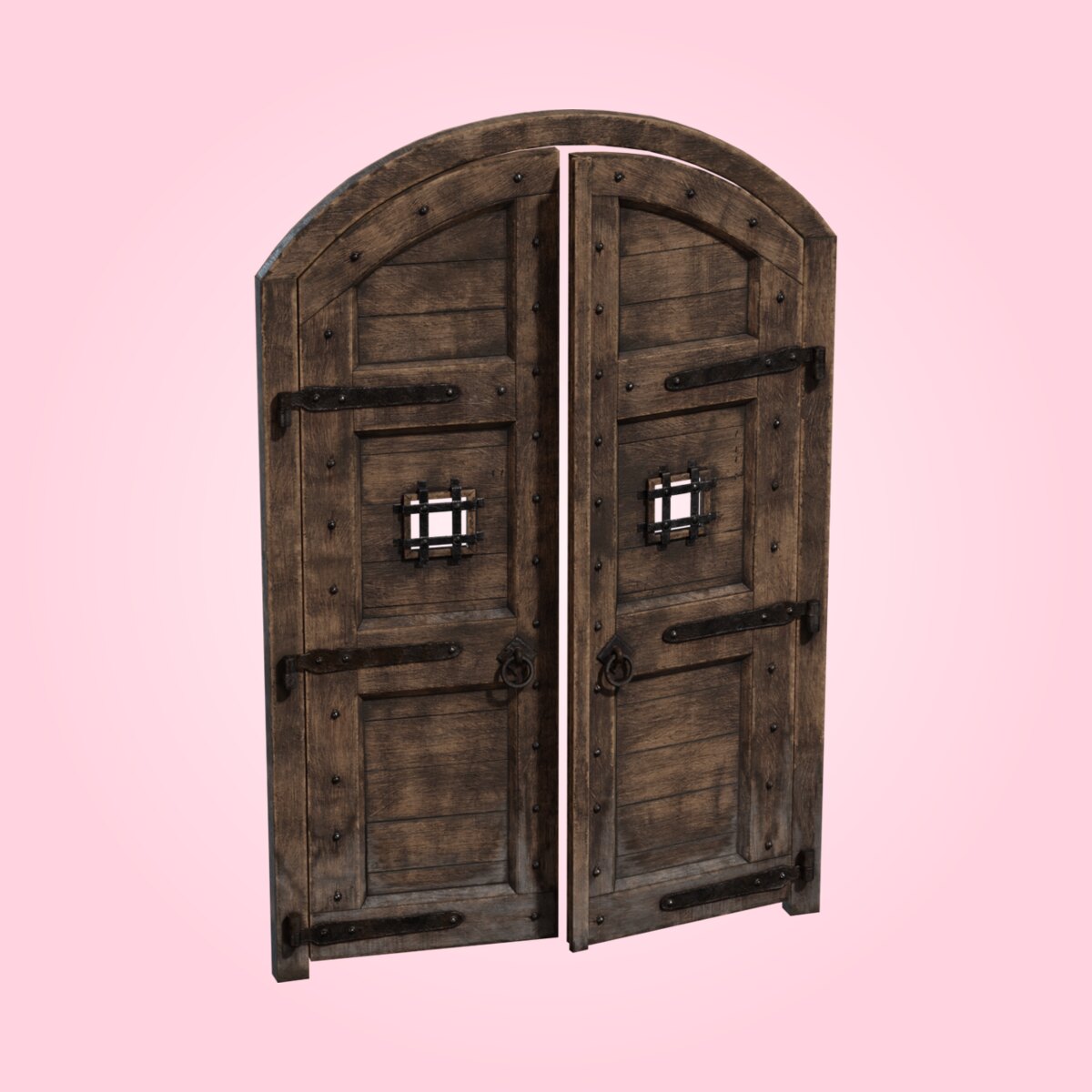 Large Castle Door