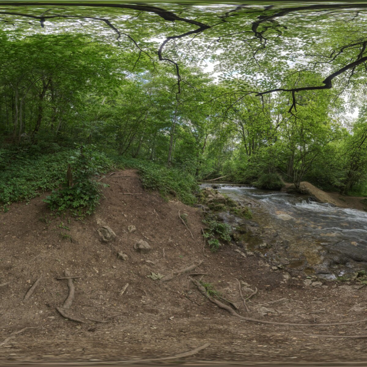 Lauter Waterfall HDRI