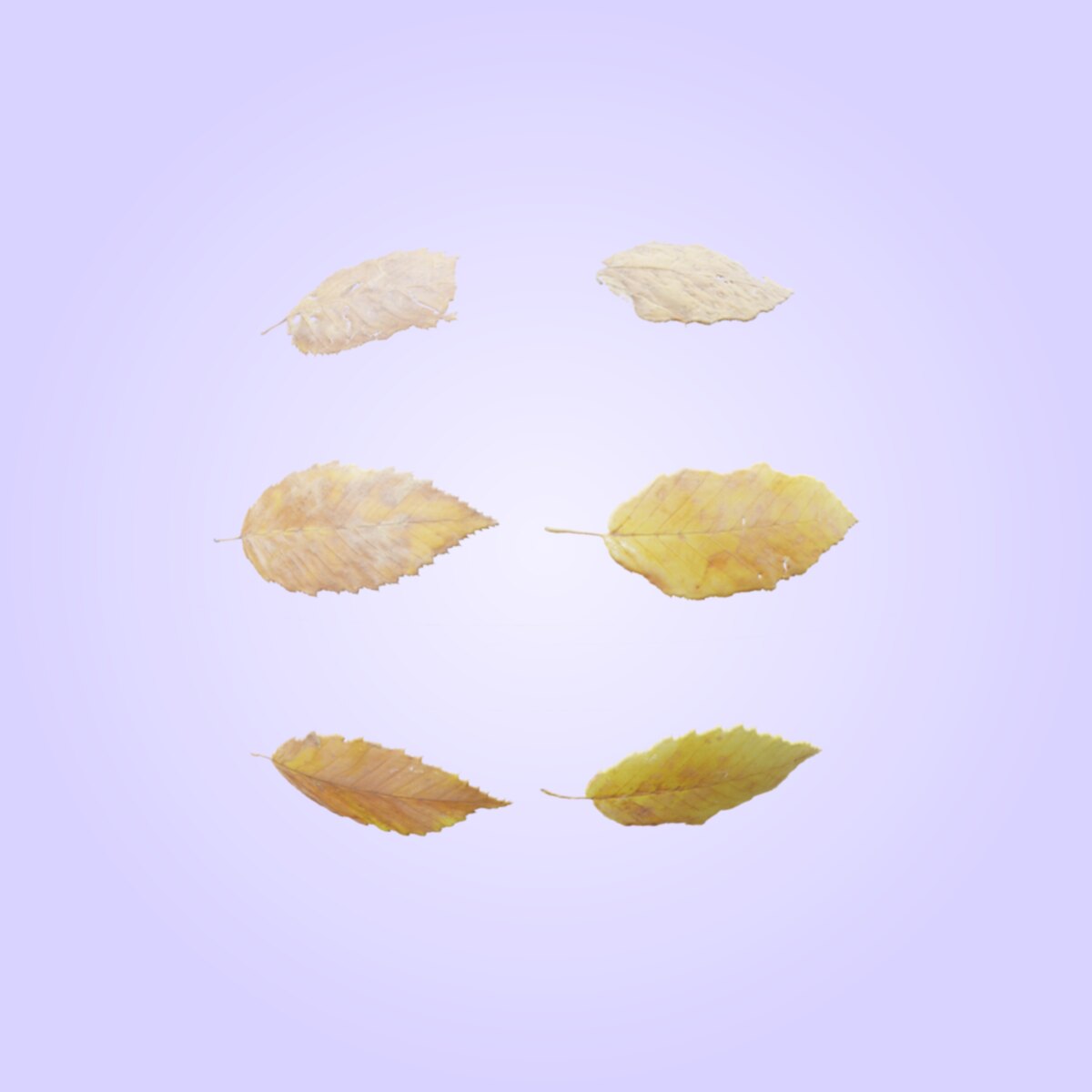 Leaf Set 008 Material
