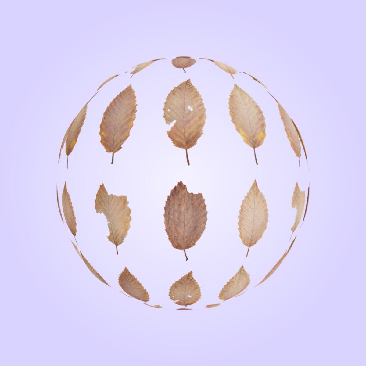 Leaf Set 011 Material